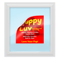 Adhesivos para ventanas