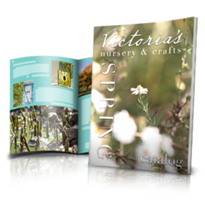 Libros y revistas 21 x 29,7 cm